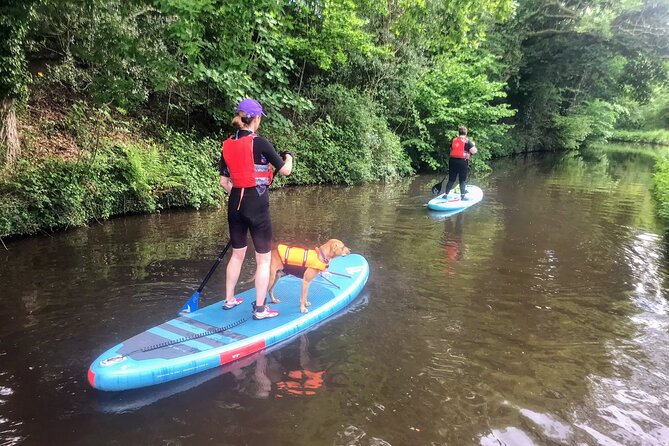 Paddleboard Day Adventure: Paddle to the Pub! - Good To Know