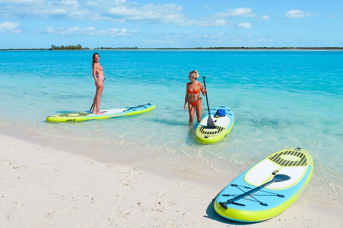 Paddleboard Mangrove Eco Tour - Good To Know
