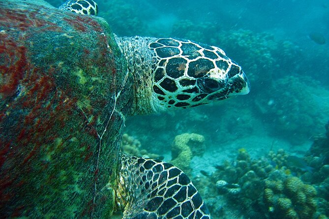 PADI Advanced Open Water Diver Course Two Days One Night Included Accommodation - Course Overview