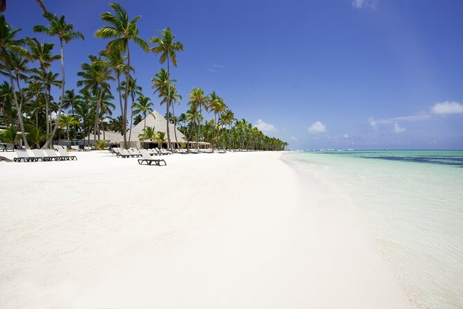 Palladium Palace - Round Trip Shuttle - Punta Cana Airport - Service Overview