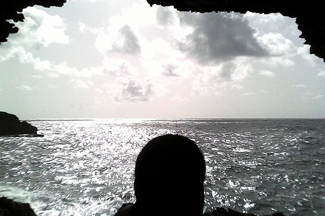 Panoramic Coastal Barbados Tour - Tour Overview