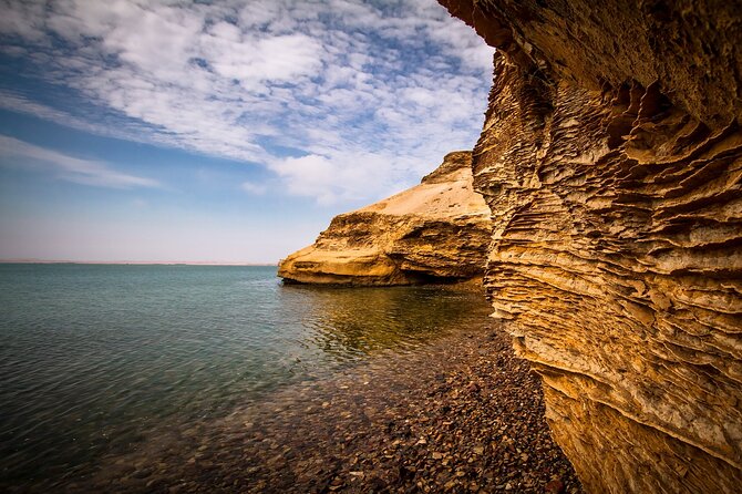 Paracas National Reserve Half Day Tour - Overview of the Tour