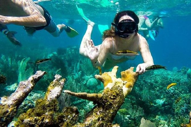 Paradise Island Cayo Arena & Mangroves From Puerto Plata (Full Day) - Good To Know