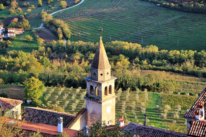 Parenzana Trail Full Day Cycling Tour From Pula, Rovinj, Poreč or Buje - Cycling Experience
