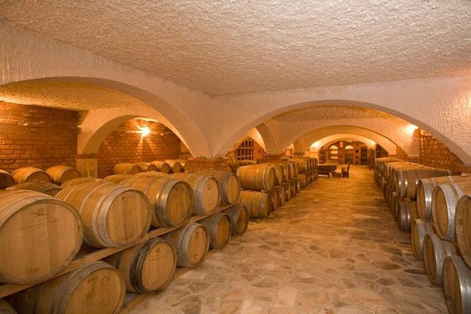 Peljesac Wine Private Day Trip From Dubrovnik - Key Points