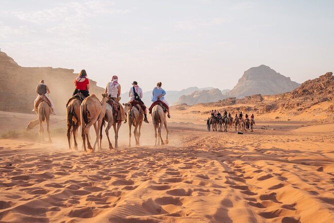Petra, Wadi Rum and Shobak Castle Day Trip - Overview of the Day Trip