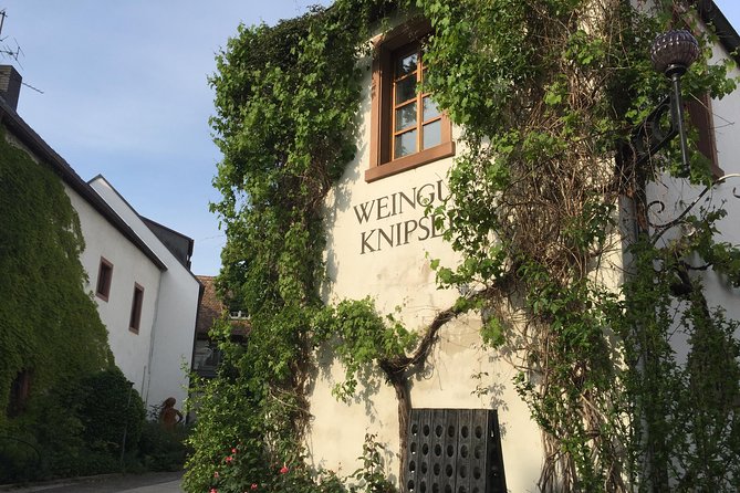 Pfalz Region Red Wine Tasting Tour  - Heidelberg - Good To Know