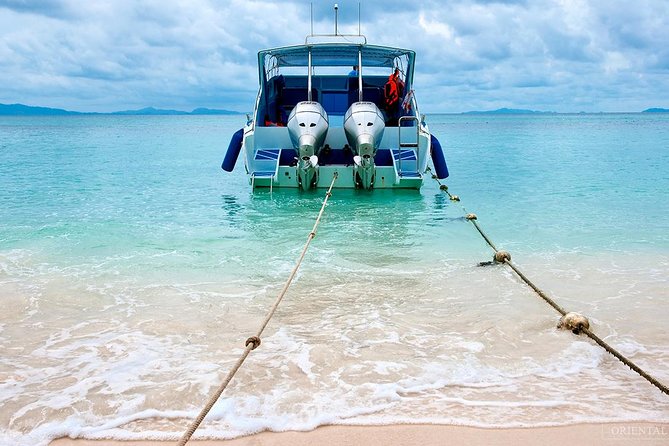 Phi Phi Island - Maya & Khai Island by Speed Boat - Tour Highlights