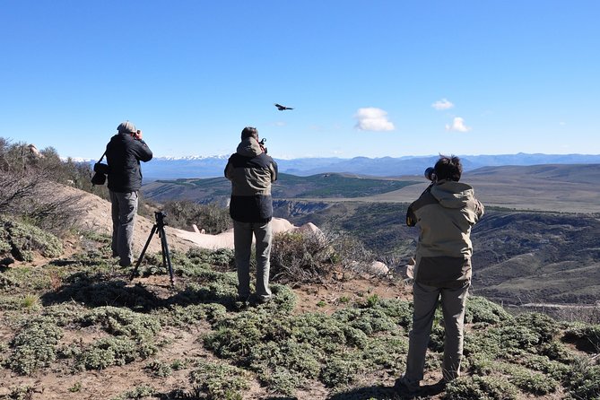 Photo Discovering Condors & Birdwatching - Full Day Tour in Private Service - About Your Stay