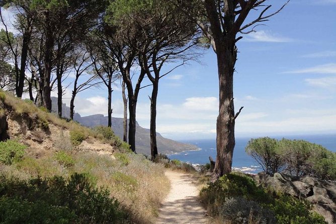 Pipetrack Hike for the Whole Family on Table Mountain - PRIVATE - Good To Know
