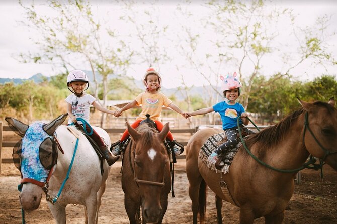 Pony Rides at North Shore Stables - Overview of Pony Rides