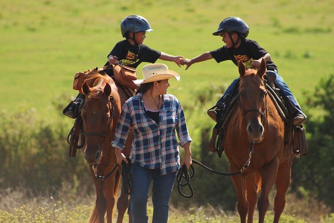 Pony Rides For Kids - Good To Know