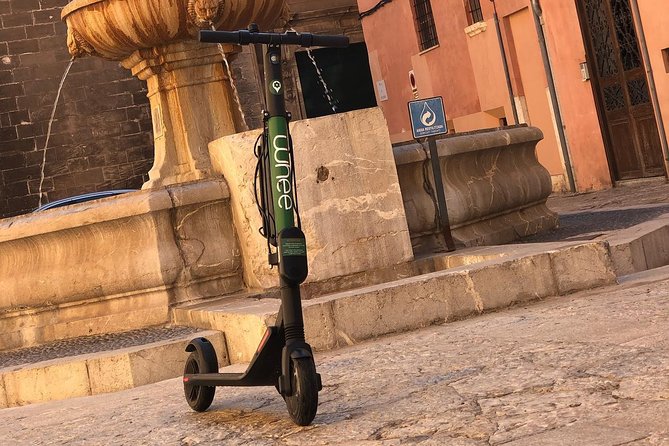 Premium Electric Scooter Rental With Optional Delivery - Rental Inclusions and Services