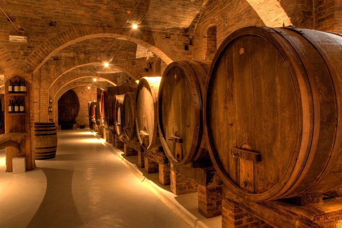 Primitivo and Negroamaro Wine Tour: a Visit to Two Wineries and Typical Lunch. From Lecce - Key Points