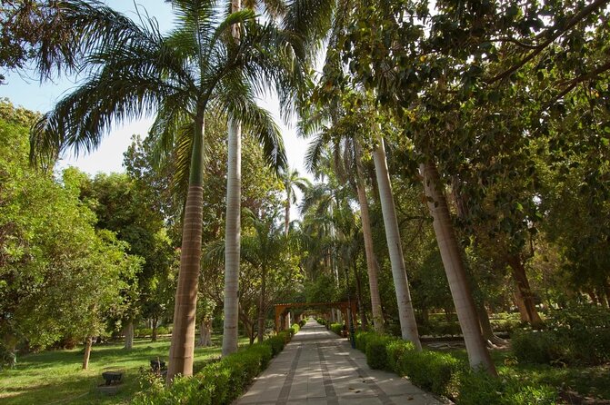 Private 1-Hour Felucca Sailing and Botanical Garden In Aswan - Key Points