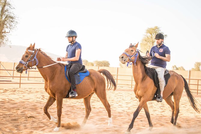 Private 4x4 Mleiha Desert Safari Horse Riding With Museum Visit - Good To Know