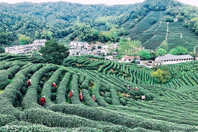 Private Amazing Hangzhou Airport Layover Tour With Lunch or Dinner Option - Inclusions and Amenities