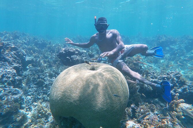 Private Boat, and Wonderful Snorkeling in Punta Cana - Good To Know