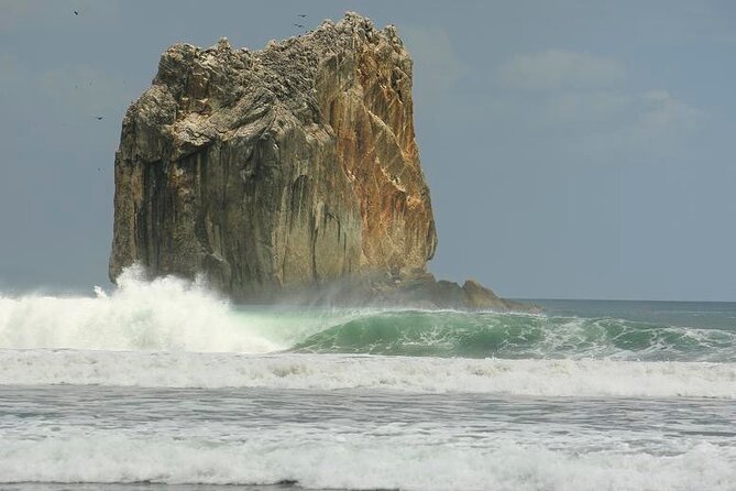Private Boat to Witches Rock & Ollies Point - Good To Know