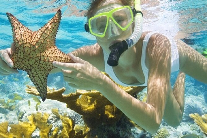Private Boonze Cruise and Snorkeling at Punta Cana - Good To Know