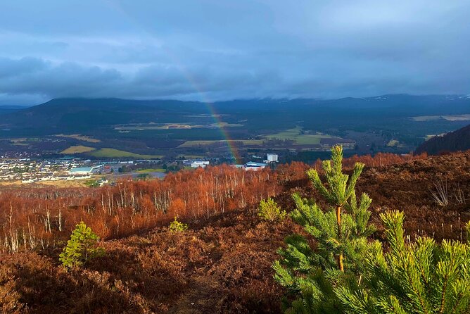 Private Cairngorm National Park Tour - Good To Know