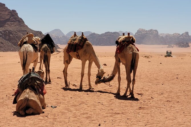 Private Camel Ride Sunset View at Wadi Rum - Key Points