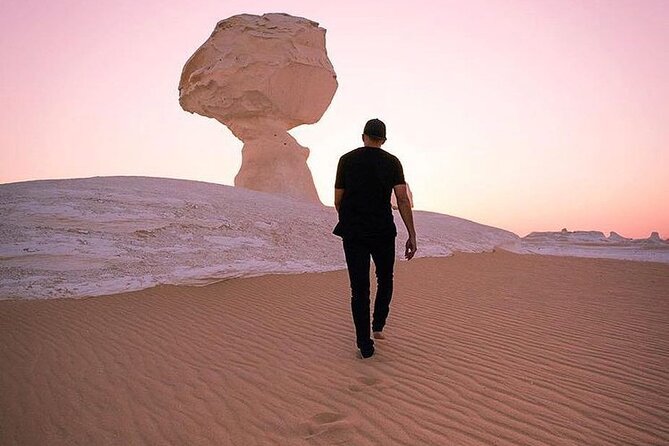 Private Camping Overnight Trip to Bahariya Oasis White Desert From Cairo - Itinerary Highlights