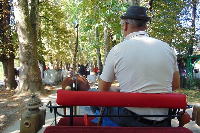 Private Carriage Ride in Vrelo Bosne Nature Park - Tour Details