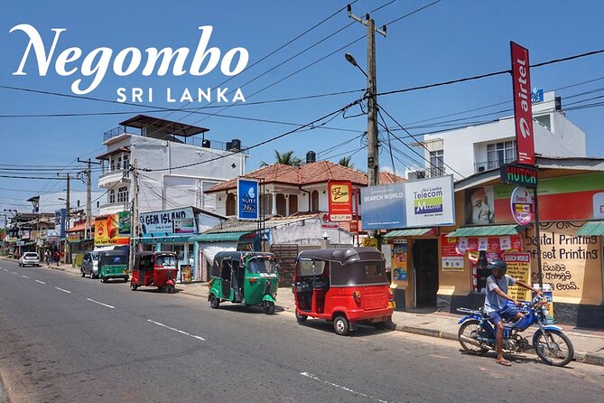 Private City Tour in Negombo - Overview of Negombo Tour