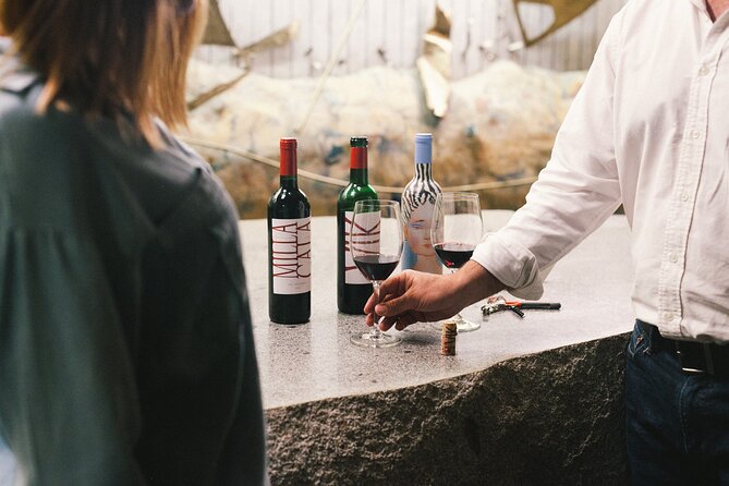 Private Colchagua VIK and Montes Wineries Experience - Good To Know