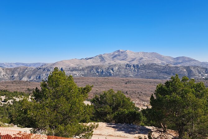 Private Customizable Tour of Croatia via Minivan With a Guide - Good To Know