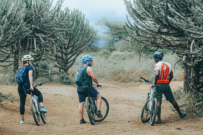 Private Cycle to Kilimanjaro Bike Park Safari - Good To Know