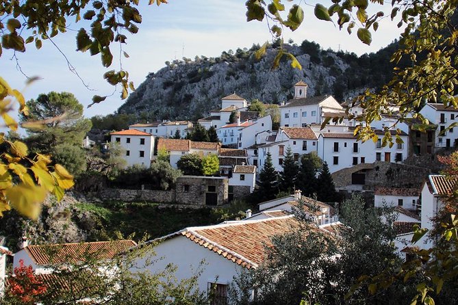 *Private Day Trip* From Jerez: the White Towns of Andalusia - Tour Overview