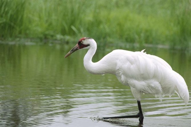 Private Day-Trip to Bharatpur Bird Sanctuary From Agra - Good To Know
