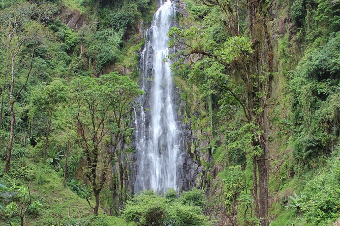 Private Day Trip to Materuni Waterfall and Coffee Tour - Good To Know