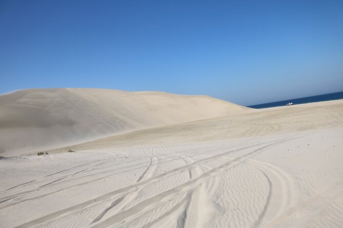 Private Desert Safari Tour 4 Hours - Tour Highlights