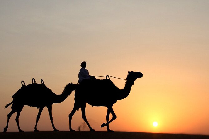 Private Desert Safari Tour in Dubai - Good To Know