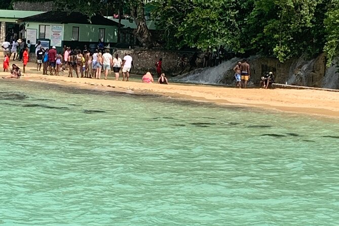 Private Dunns River and Bamboo Rafting Combo From Ocho Rios - Tour Overview and Details