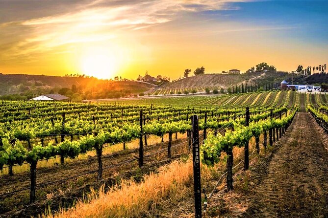 Private Excursion From Orange County Including Lunch + Tastings - Good To Know