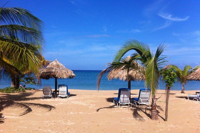 Private Fern Gully, Blue Hole and Bamboo Blu Beach Experience From Ocho Rios - Key Points