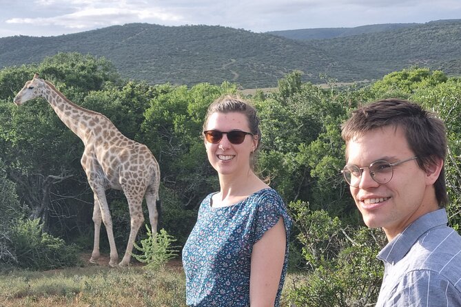 Private Full-Day Addo Elephant Park & Giraffe Walk Safari - Good To Know