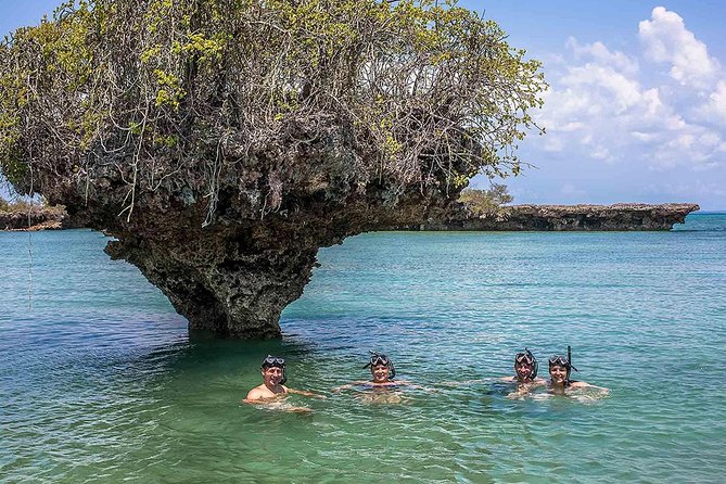 Private Full-Day Safari Blue Trip With Lunch Buffet - Key Points