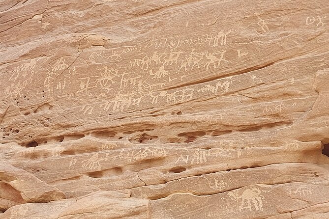 Private Full Day Sinai Desert Adventures - Exploring the Sinai Desert