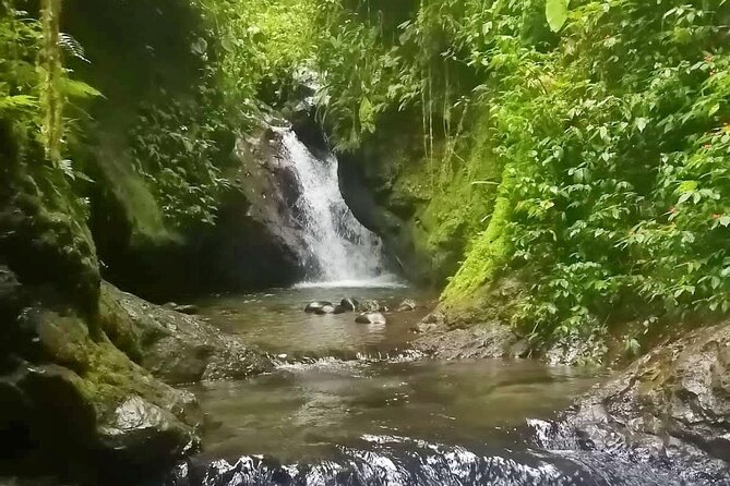 Private Full Day Tour From Quito to Mindo - Good To Know