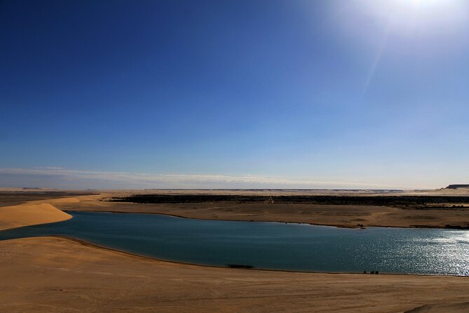 Private Full Day Tour in Wadi El Rayan and Wadi El Hiten - Tour Overview
