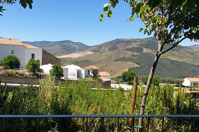 Private Full-Day Tour to Douro Valley - Key Points