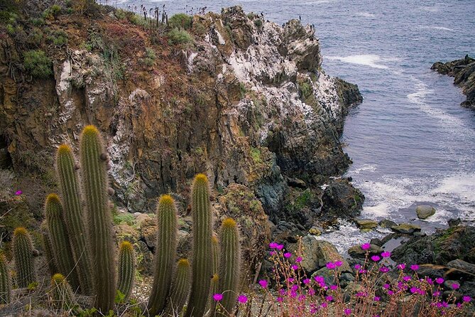 Private Garden Tour in Central Coast of Chile With Lunch Included - About Your Stay