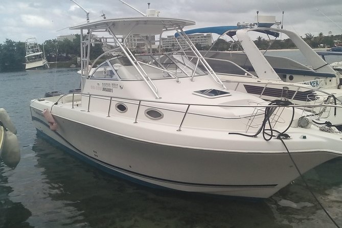Private Group Cruise Catamaran Yacht Ocho Rios Jamaica - Key Points