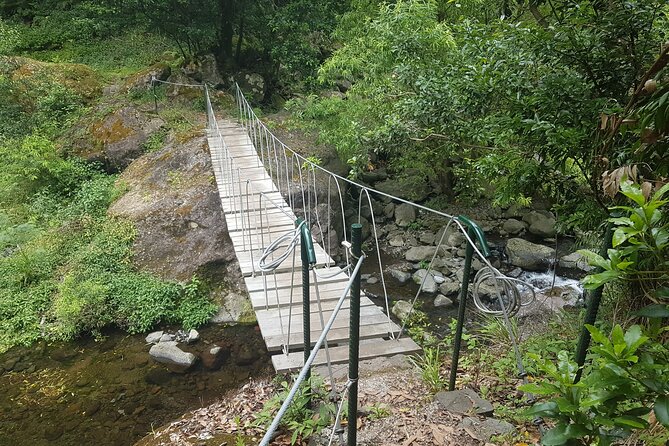 Private Guided Walk Levada Castelejo - Additional Information