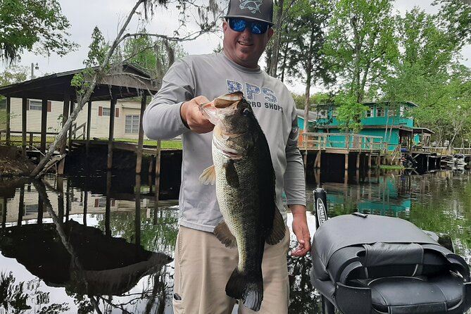 Private Harris Chain of Lakes Fishing Charter in Florida (4, 6, or 8-Hours) - Good To Know